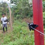 Pagar Kejut, Solusi Tekan Interaksi Negatif Gajah-Masyarakat di Aceh